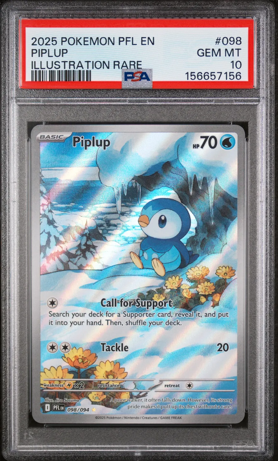 Piplup Illustrated Rare